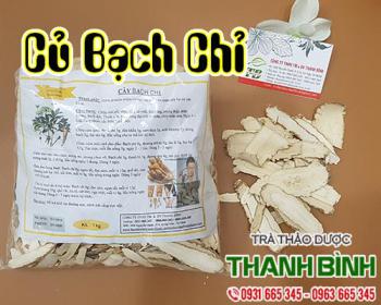 Tuyệt chiêu giải cảm hạ sốt và cơn đau nửa đầu với củ bạch chỉ cực hay