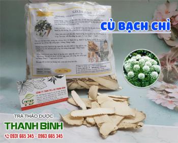 Mua bán củ bạch chỉ tại quận ba đình có công dụng giải cảm và hạ sốt