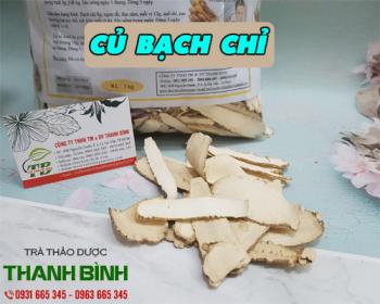 Mua bán củ bạch chỉ tại quận 1 có công dụng giải cảm rất tốt