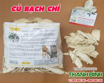 Mua bán củ bạch chỉ uy tín chất lượng nhất ở đâu ???