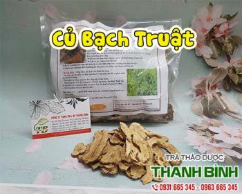 Củ bạch truật - thảo dược quý tốt cho hệ tiêu hóa và thanh xuân của bạn