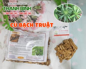 địa điểm bán củ bạch truật tại hà nội trong chữa viêm loét dạ dày tốt nhất
