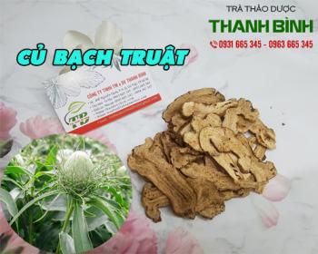 Mua bán củ bạch truật tại quận 8 bảo vệ niêm mạc đường ruột 