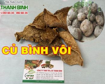 Mua bán củ bình vôi ở quận phú nhuận có tác dụng an thần gây ngủ rất tốt