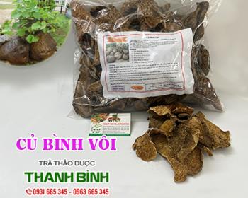 Mua bán củ bình vôi tại hà nội uy tín chất lượng tốt nhất