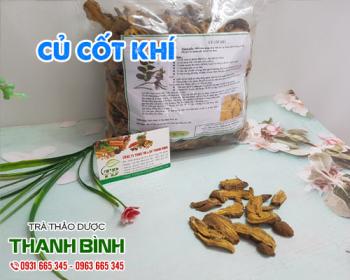 Mua củ cốt khí giá rẻ uy tín chất lượng nhất ở đâu?