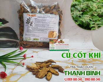 Mua bán củ cốt khí tại hà nam có tác dụng mạnh gân cốt uy tín nhất