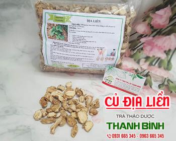 Củ địa liền [tác dụng, cách dùng, mua ở đâu] địa chỉ bán nguyên chất?