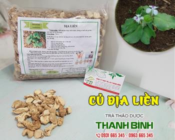 Mua bán củ địa liền tại huyện mê linh hỗ trợ lưu thông khí huyết