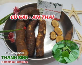 Mua bán củ gai an thai tại quận 1 giúp an thai và nuôi dưỡng thai nhi
