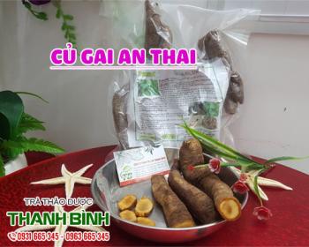Mua bán củ gai an thai tại quận cầu giấy ngăn chặn nguy cơ động thai