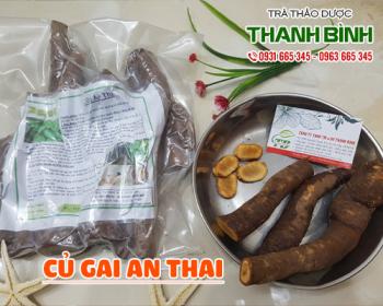 Mua bán củ gai an thai tại huyện thường tín điều trị viêm tử cung tốt nhất