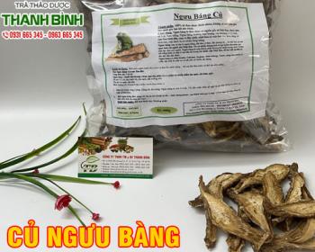 Mua bán củ ngưu bàng ở huyện cần giờ giúp cải thiện chức năng gan thận