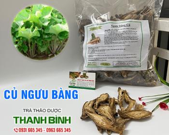 Mua bán củ ngưu bàng tại huyện từ liêm giúp tăng sức đề kháng rất tốt