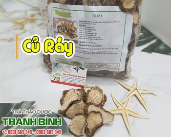 Thảo dược củ ráy hỗ trợ điều trị bệnh gout và chàm da, ghẻ lở hiệu quả