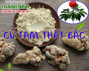 Mua bán củ tam thất bắc tại quận 5 hỗ trợ tốt cho người bị gan nhiễm mỡ