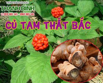 Mua bán củ tam thất bắc ở quận gò vấp cân bằng đường huyết trong cơ thể