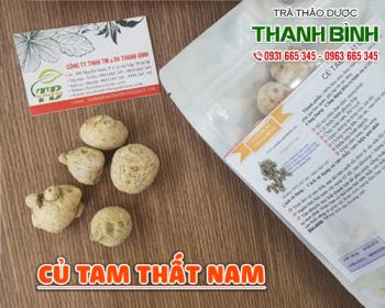 Mua bán củ tam thất nam tại huyện mỹ đức điều trị bế kinh và đau thắt ngực
