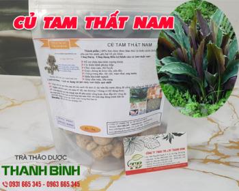 Mua bán củ tam thất nam tại quận 5 giúp hỗ trợ bồi bổ sức khỏe 