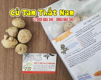 Củ tam thất nam hỗ trợ bồi bổ sức khỏe và ngăn ngừa bệnh tim mạch