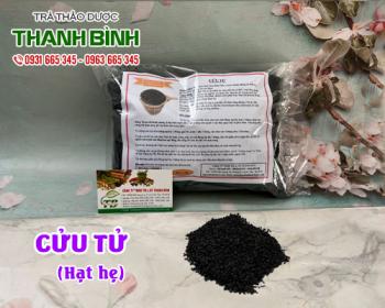 địa điểm bán cửu tử tại hà nội trong điều trị bệnh yếu sinh lý tốt nhất