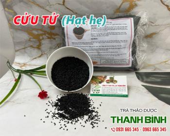 Cách sử dụng cửu tử chữa rối loạn kinh nguyệt hiệu quả tốt nhất