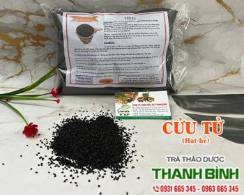 Mua bán cửu tử tại đồng tháp có tác dụng tăng cường hệ miễn dịch 