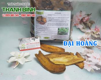 địa chỉ bán đại hoàng trong chữa bệnh trĩ chảy máu tại hà nội uy tín nhất