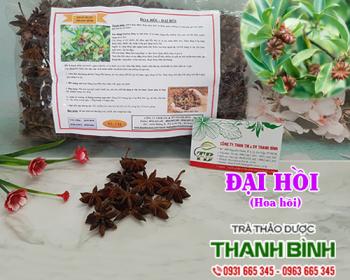 Mua bán đại hồi tại khánh hòa có tác dụng điều trị cảm lạnh hiệu quả nhất