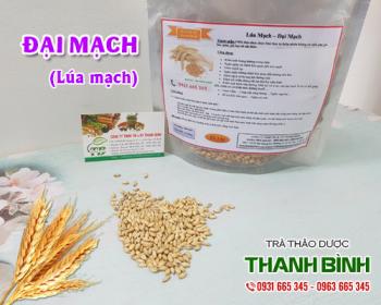 địa điểm bán đại mạch tại hà nội chữa viêm khớp và tiêu hóa kém tốt nhất