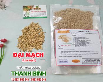 Mua bán đại mạch tại dak lak giúp làm dịu các triệu chứng khó chịu 