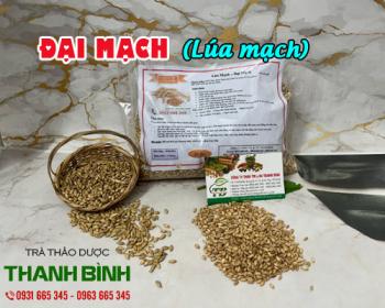 Mua bán đại mạch ở huyện cần giờ giúp nâng cao sức khỏe, phòng táo bón