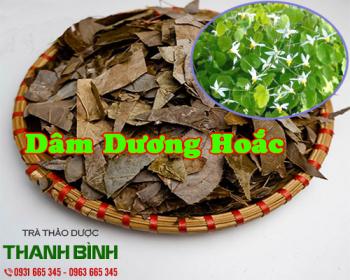 địa điểm bán dâm dương hoắc giúp bổ thận tráng dương chất lượng nhất