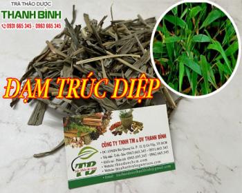 Mua bán đạm trúc diệp tại quận 12 trị chứng vị nhiệt sinh nôn