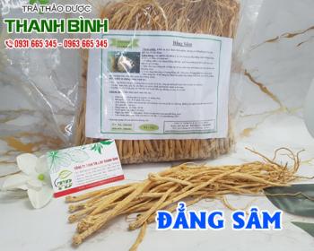 Công dụng của đẳng sâm trong điều hòa huyết áp, bổ máu hiệu quả nhất