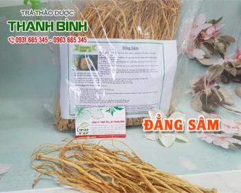 Mua bán đẳng sâm ở đâu tại hà nội uy tín chất lượng nhất ?