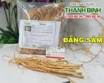 Mua bán đẳng sâm tại hậu giang có tác dụng bổ thận hiệu quả nhất