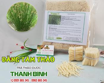 Mua bán đăng tâm thảo tại hà nội uy tín chất lượng tốt nhất