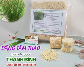 Mua bán đăng tâm thảo tại lâm đồng hỗ trợ kháng viêm hiệu quả nhất