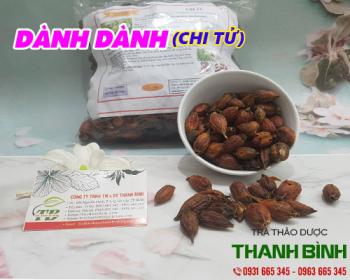 Tác dụng của dành dành trong điều trị các vết bỏng nhẹ hiệu quả nhất