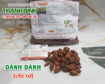 Mua bán dành dành tại sơn tây rất tốt cho người bệnh viêm gan vàng da