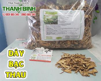 Dây bạc thau dễ kiếm và mang lại nhiều công dụng hữu ích