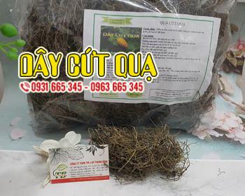 Bồi bổ sức khỏe sau sinh bằng dây cứt quạ hiệu quả bạn đã biết?