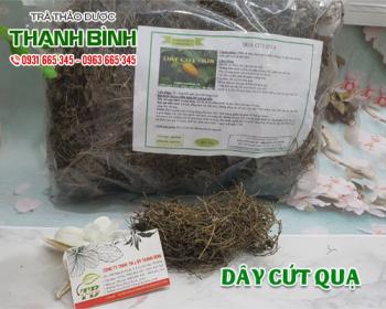 Mua bán dây cứt quạ tại quận hai bà trưng hỗ trợ điều trị bệnh đau mắt