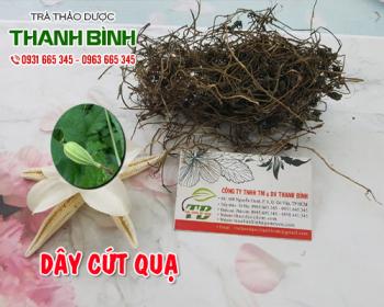 Mua bán dây cứt quạ tại huyện mê linh có công dụng tiêu đờm giảm ho