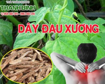Mua bán dây đau xương tại quận 7 điều trị thoái hóa xương khớp rất tốt