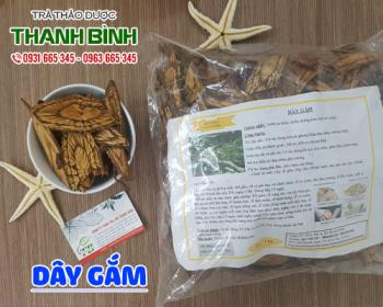 Mua bán dây gắm tại huyện ứng hòa sử dụng điều trị sưng đau đầu gối