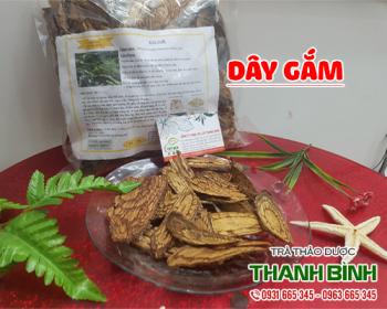 Mua bán dây gắm tại quận đống đa có công dụng điều trị vết rắn cắn