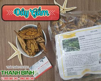 Dây gắm chữa gout và giúp giảm đau nhức trong phong tê thấp