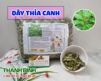 Mua bán dây thìa canh tại quận ba đình có tác dụng hạ đường huyết